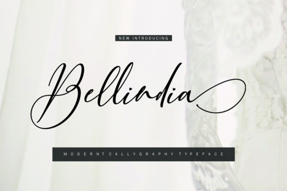 Bellindia: A Modern Calligraphy Font for Creative Expression