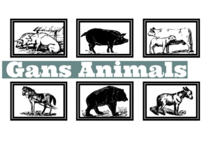 Gans Animals: A Vintage Typographic Treasure