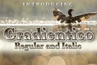 Gradientico: Retro Font with Modern Impact