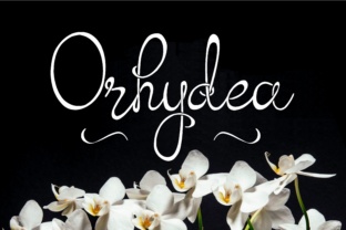 Orhydea: A Versatile Script Font for Creative Expression